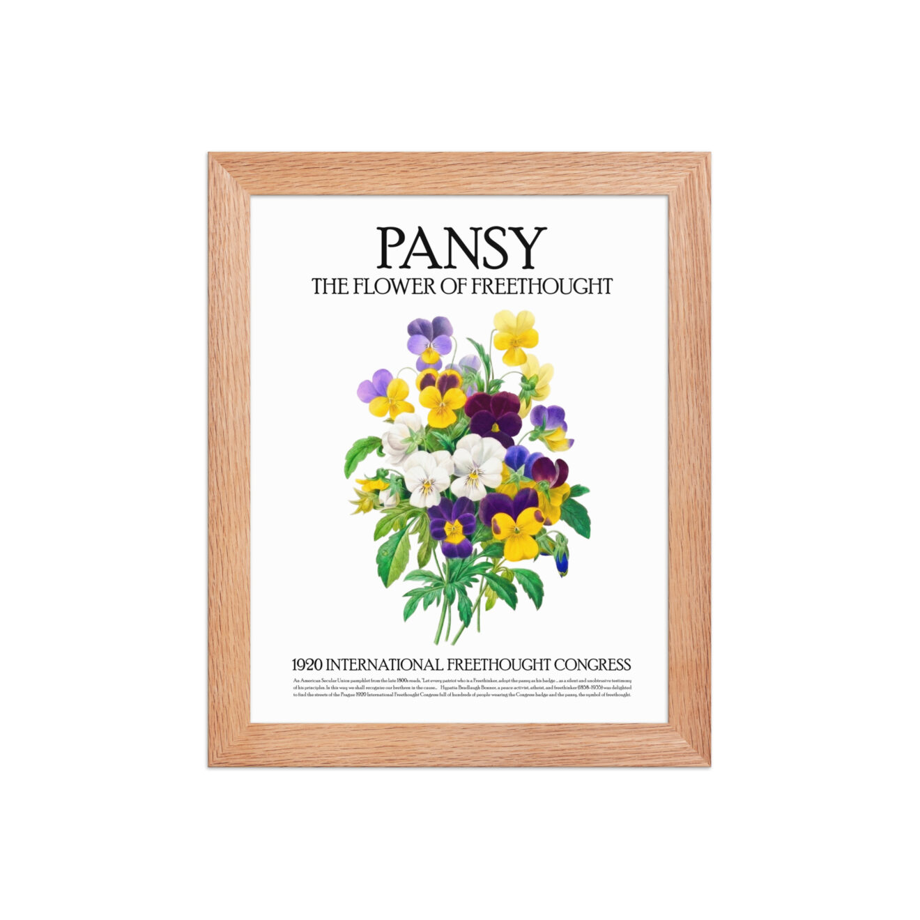 Pansy The Flower of Freethought Framed poster